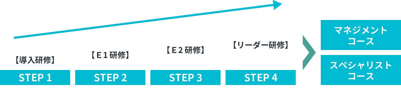 STEP 1【導入研修】 STEP 2【Ｅ1研修】 STEP 3【Ｅ2研修】 STEP 4【リーダー研修】 マネジメントコース スペシャリストコース